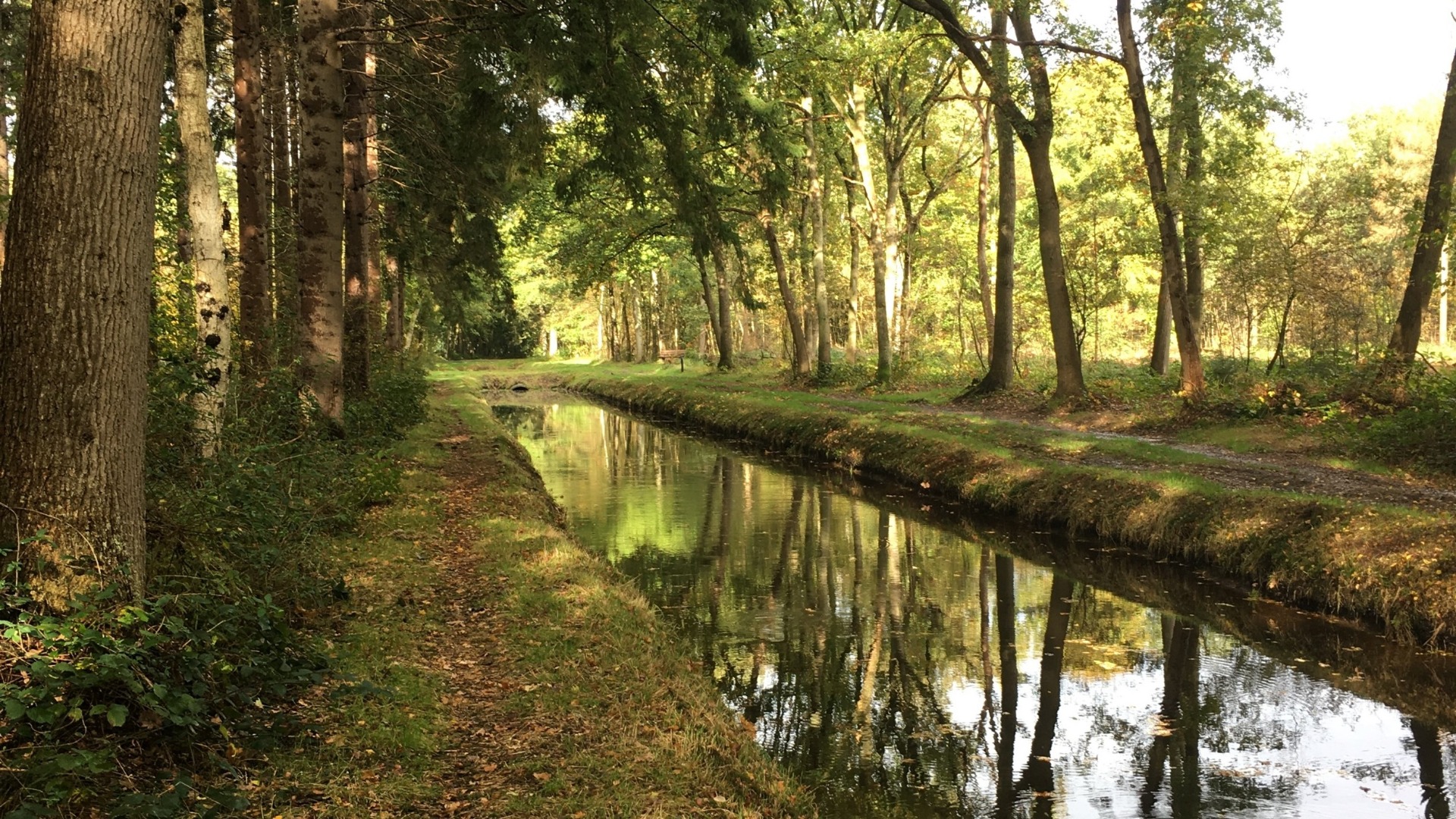 Zo zien wij de wijken graag, waarin het regenwater langer wordt vastgehouden en zo beter kan infiltreren in het grondwater.