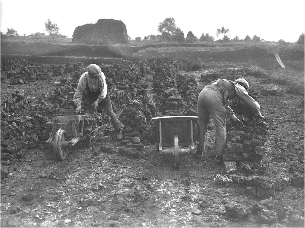 Met z'n allen aardappels rooien.