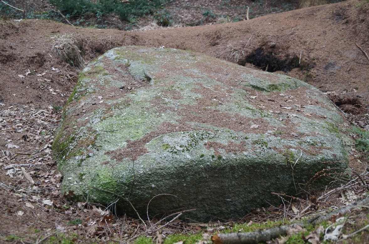 De reuze zwerfkei aan de rand van de Beukerswijk. Die was waarschijnlijk te zwaar om te kunnen vervoeren.