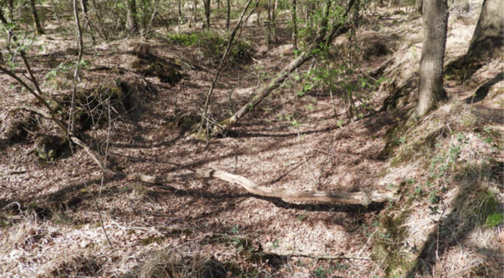 Deze ruïne van een groot onderduikershol aan de Dwarswijk gaan wij restaureren en het verhaal ervan vertellen..