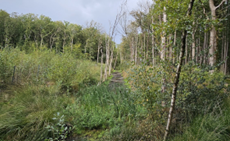 Het Dwarsgat waar al tientallen jaren niets mee is gebeurd.